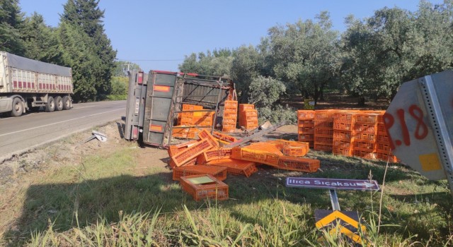 Bursada canlı tavuk yüklü tır devrildi