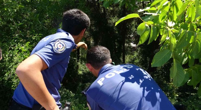 Bursada gezinmek için çıktığı yoldan 30 metre aşağıya düştü
