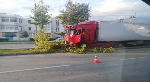 Bursada kontrolden çıkar tırı, ağaçlar durdurdu