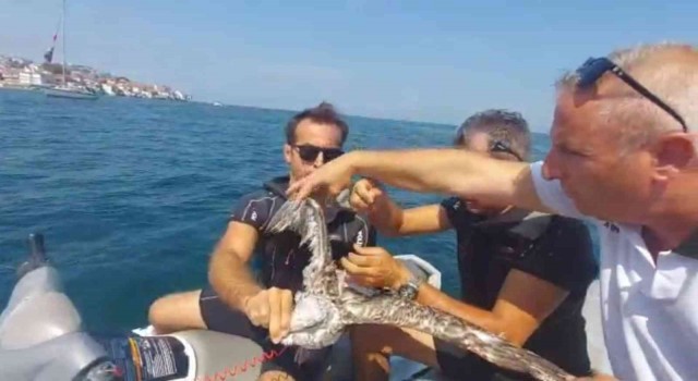 Bursada martı kurtarma operasyonu