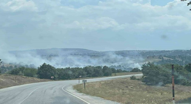 Bursada orman yangını kontrol altına alındı