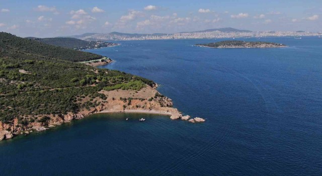 Büyükadada dalyan dolandırıcılığı