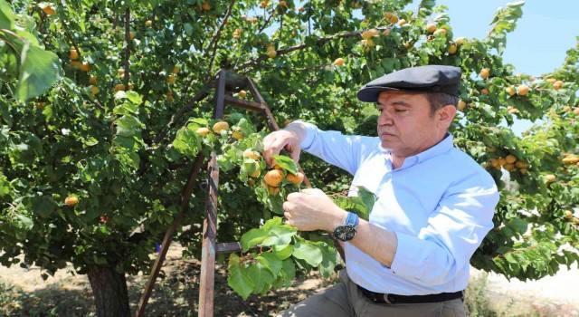 Büyükşehir ‘Çevre Dostu Çiftçi Kart Projesini başlatıyor