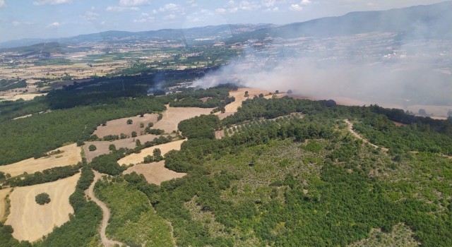 Çanakkalede orman yangını