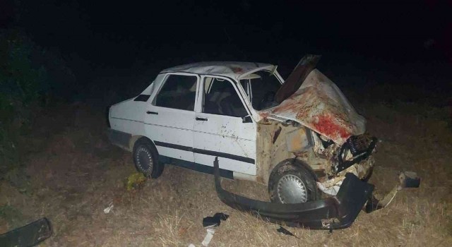 Çanakkalede otomobil koyun sürüsüne daldı: 13 koyun telef oldu