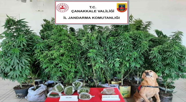 Çanakkalede uyuşturucu operasyonları: 7 gözaltı