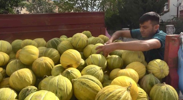 Çankırının meşhur kavunu tezgahlarda yerini aldı