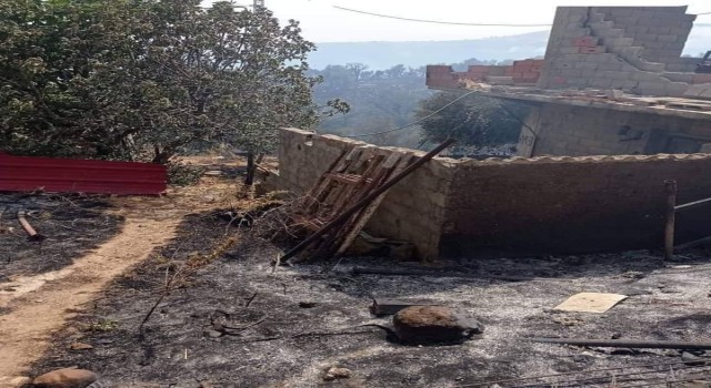 Cezayirde 26 noktada orman yangını: 2 ölü, 42 yaralı