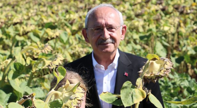 CHP Lideri Kılıçdaroğlu: "Ayçiçeği taban fiyatı ton başına 16 bin lira olmalı"