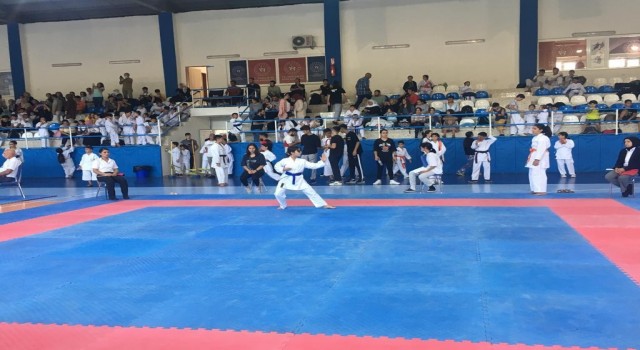 Çocuk evlerinde kalan çocuklar karate turnuvasından başarıyla döndü