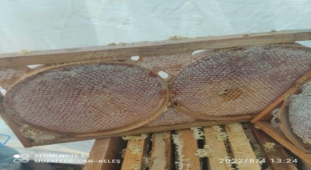 Darendede bal sağım ve süzme mesaisi