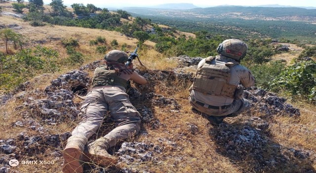 Diyarbakırda ‘Eren Abluka-33 Şehit Jandarma Uzman Çavuş Muhammet Tufan operasyonu başlatıldı