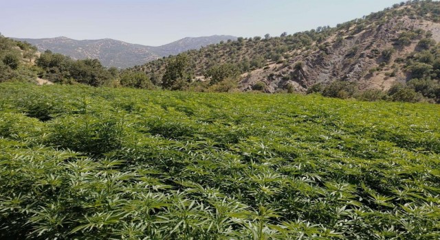 Diyarbakırda terörün finansman kaynağı ablukaya alındı