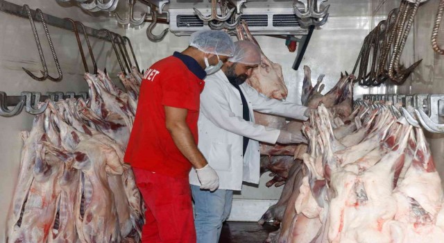 Diyarbakırdan Kuveyte kuzu eti ihracatı