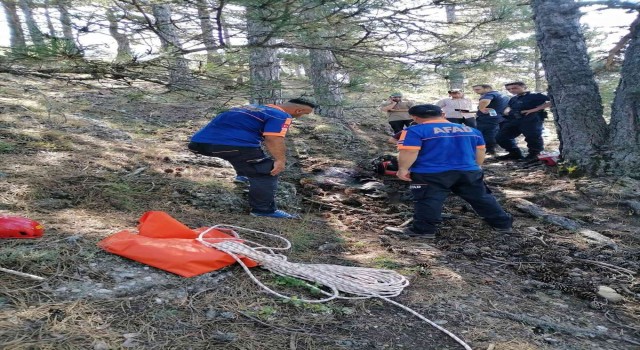 Doğa yürüyüşü yapmak için gittiği ormanda hayatını kaybetti