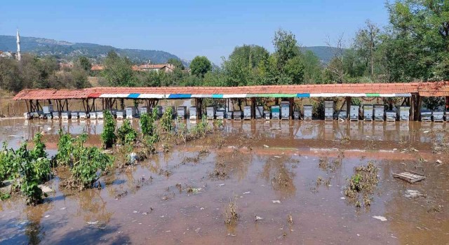 Domaniçte 80 arı kovanı sular altında kaldı