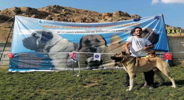 Dozer isimli köpeğiyle katıldığı yarışmadan birincilikle döndü