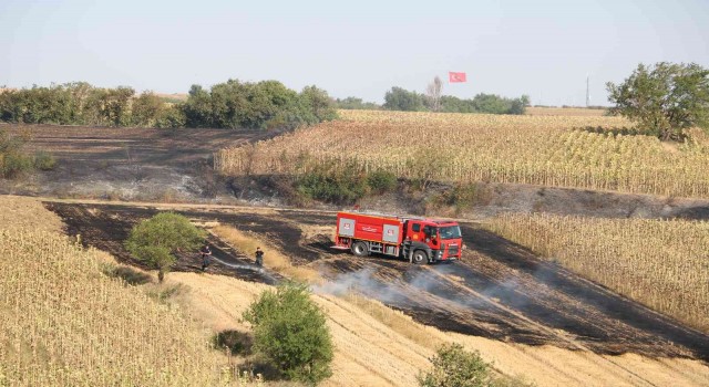 Edirnede anız yangını