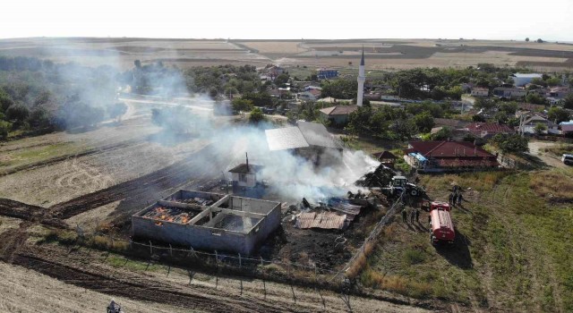 Edirnede çiftlikte yangın: Can pazarı yaşandı, hayvanlar telef oldu