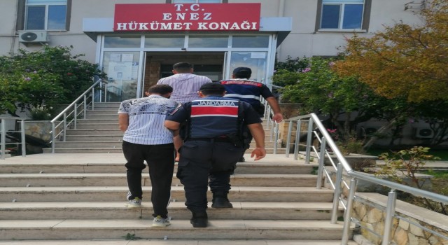 Edirnede küçükbaş hayvan hırsızlığı yapan şüpheliler yakayı ele verdi