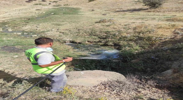 Elazığda ilaçlama çalışmaları sürüyor