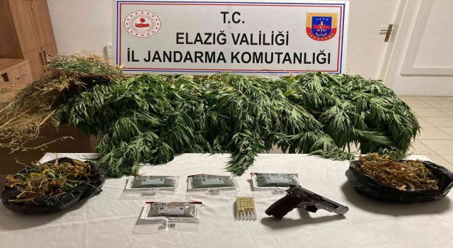 Elazığda 1 kilo esrar ve 17 kök kenevir ele geçirildi