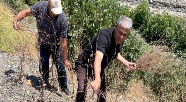 Elazığda biyoçeşitlilik izleme çalışmaları sürüyor
