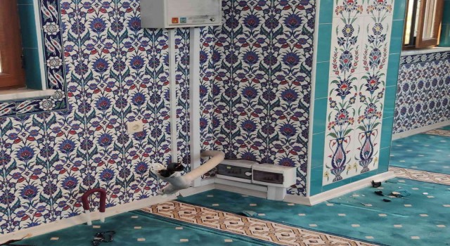 Elazığda hırsızlar gece camiye girdi