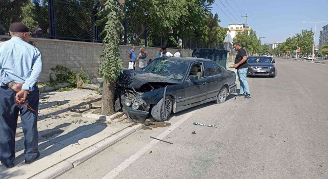 Elazığda otomobil ağaca çarptı: 1 yaralı