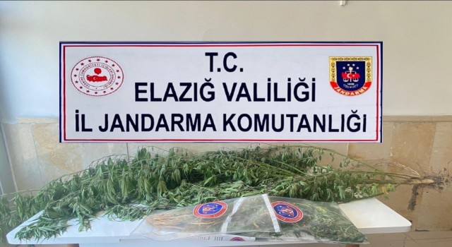 Elazığda varil içerisine zulalanmış kenevir ele geçirildi