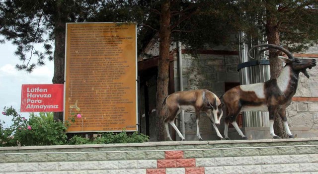 Erzincanda şifalı su