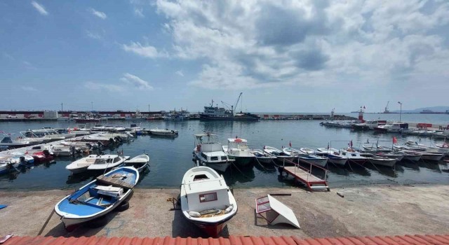 Eylüle sayılı günle kaldı: Palamut bolluğu bekleniyor