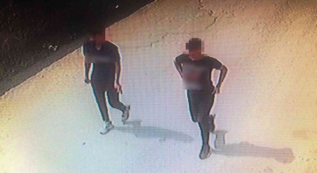 Fındık fareleri 53 saatlik kamera incelemesi sonrasında yakayı ele verdi