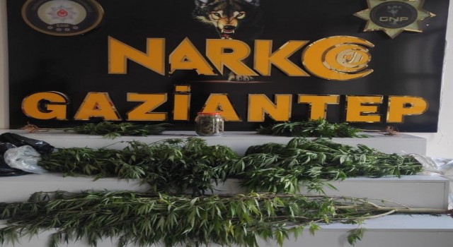 Gaziantepte dev uyuşturucu operasyonu: 20 gözaltı