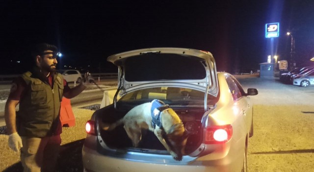 Gölbaşında uyuşturucu denetimi yapıldı