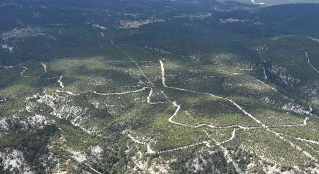 Gölhisar Orman İşletme Sahası havadan denetlendi