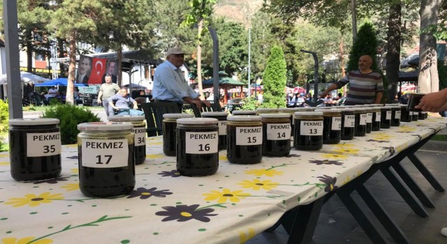 Gümüşhanede pestil, pekmez ve yöresel yemek yarışması düzenlendi