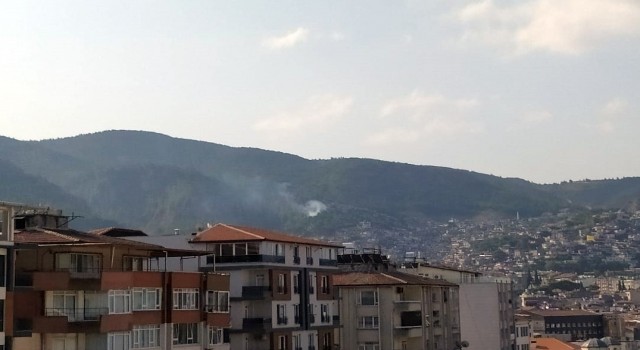 Hatayda çıkan orman yangını kontrol altına alındı