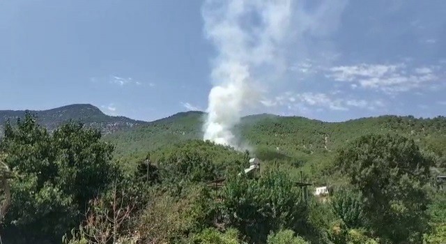 Hatayda orman yangını