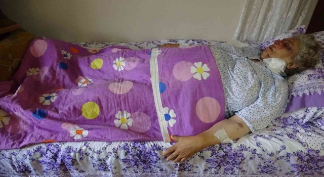 Hatayda yaşlı kadın akrabası tarafından 34 yerinden bıçaklandı