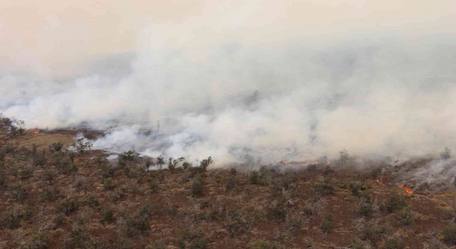 Hawaiide çalılık alanda yangın: 9 bin 800 hektar alan kül oldu
