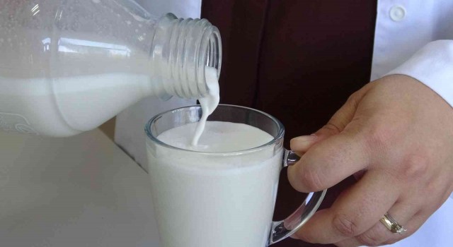 Hayvansal süte alternatif ‘bitkisel süt