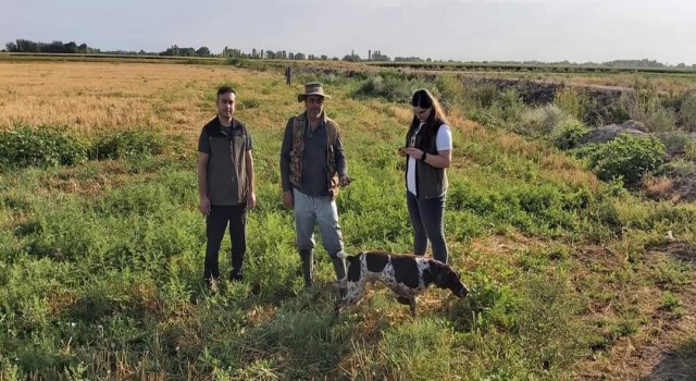 Iğdırda av kontrol faaliyetleri devam ediyor
