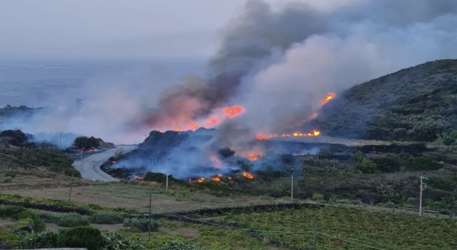 İtalyanın Pantelleria Adasında orman yangını