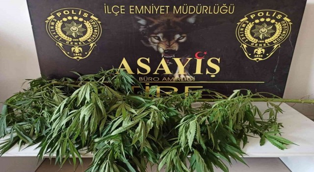 İzmirde polisten uyuşturucu tacirlerine yönelik 4 ayrı operasyon