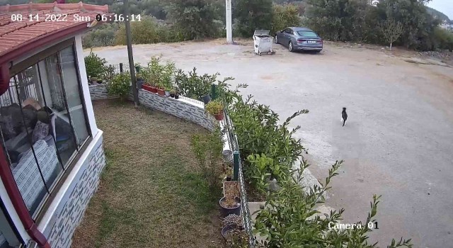 İzmirdeki 5 büyüklüğündeki deprem kamerada