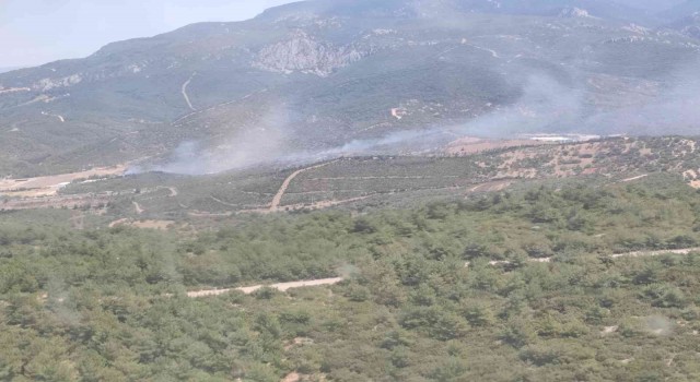 İzmirdeki orman yangını kontrol altında