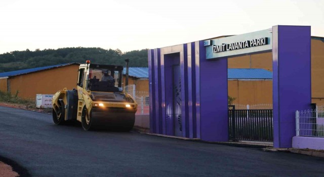 İzmit Lavanta Parkta sona yaklaşıldı