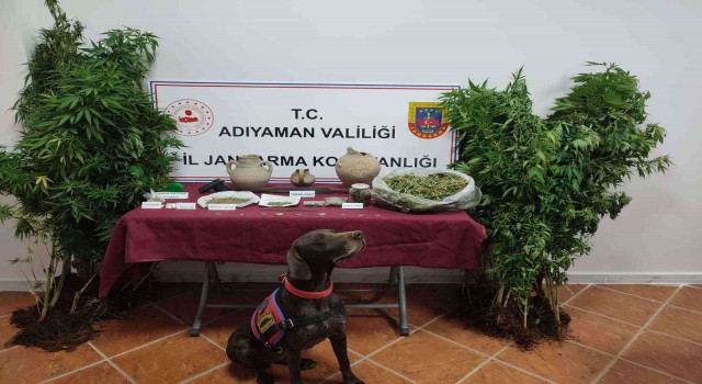 Jandarma hem tarihi eser hem uyuşturucu ele geçirdi