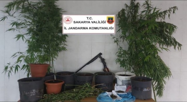 Jandarma uyuşturucuya geçit vermiyor: 1 gözaltı